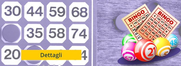 Bingo-AdmiralYes