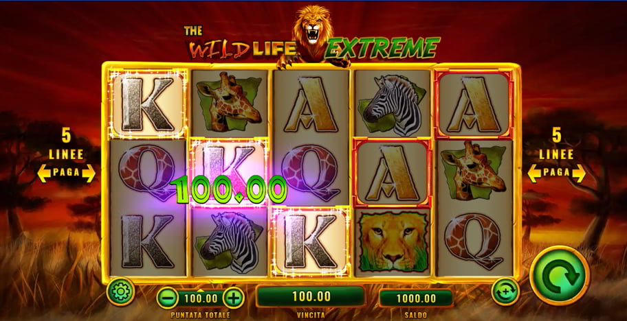 wild life extreme