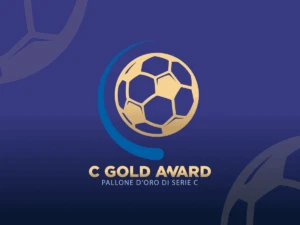 C Gold Award