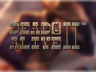 Dead or Alive II slot